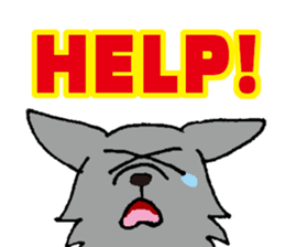 simple Schipperke sticker #14875277