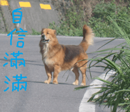 Bean homes sticker #14875306