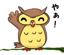 A word with an owl sticker #14876094
