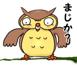 A word with an owl sticker #14876097