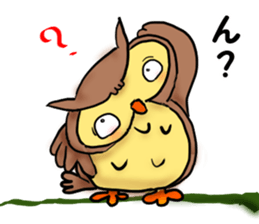 A word with an owl sticker #14876099