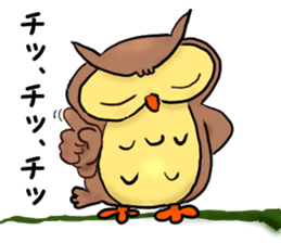 A word with an owl sticker #14876115