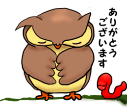 A word with an owl sticker #14876123
