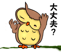 A word with an owl sticker #14876125