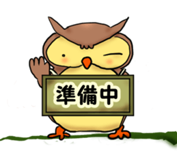 A word with an owl sticker #14876128