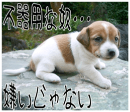 MIEDOG Jack Russell terrier sticker 9 sticker #14877756