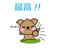 One day of Toy Poodle's cue sticker #14880110
