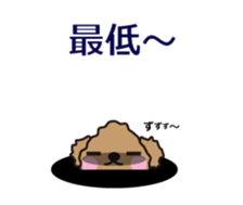 One day of Toy Poodle's cue sticker #14880111