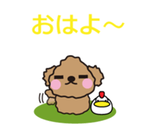 One day of Toy Poodle's cue sticker #14880112