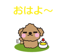 One day of Toy Poodle's cue sticker #14880112