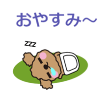 One day of Toy Poodle's cue sticker #14880113