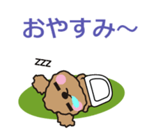 One day of Toy Poodle's cue sticker #14880113