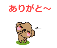 One day of Toy Poodle's cue sticker #14880114