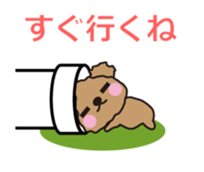 One day of Toy Poodle's cue sticker #14880115