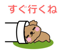 One day of Toy Poodle's cue sticker #14880115