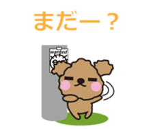 One day of Toy Poodle's cue sticker #14880117