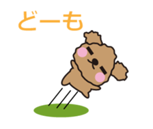 One day of Toy Poodle's cue sticker #14880118