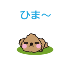 One day of Toy Poodle's cue sticker #14880119