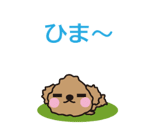 One day of Toy Poodle's cue sticker #14880119