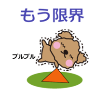 One day of Toy Poodle's cue sticker #14880120