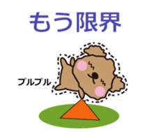 One day of Toy Poodle's cue sticker #14880120