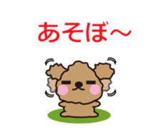 One day of Toy Poodle's cue sticker #14880122
