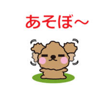 One day of Toy Poodle's cue sticker #14880122