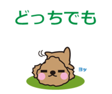 One day of Toy Poodle's cue sticker #14880123