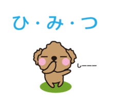 One day of Toy Poodle's cue sticker #14880124