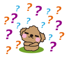 One day of Toy Poodle's cue sticker #14880127