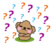 One day of Toy Poodle's cue sticker #14880127