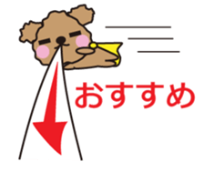 One day of Toy Poodle's cue sticker #14880130