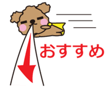 One day of Toy Poodle's cue sticker #14880130