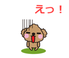 One day of Toy Poodle's cue sticker #14880131