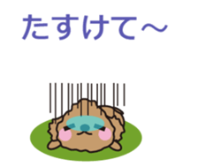 One day of Toy Poodle's cue sticker #14880132