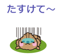 One day of Toy Poodle's cue sticker #14880132