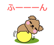 One day of Toy Poodle's cue sticker #14880134