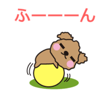 One day of Toy Poodle's cue sticker #14880134