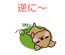 One day of Toy Poodle's cue sticker #14880135