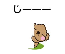 One day of Toy Poodle's cue sticker #14880136