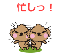 One day of Toy Poodle's cue sticker #14880137