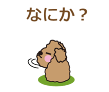 One day of Toy Poodle's cue sticker #14880138