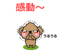 One day of Toy Poodle's cue sticker #14880140