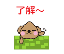 One day of Toy Poodle's cue sticker #14880141