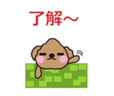 One day of Toy Poodle's cue sticker #14880141