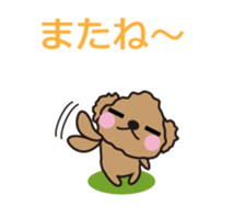 One day of Toy Poodle's cue sticker #14880144