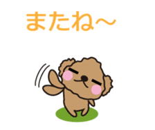 One day of Toy Poodle's cue sticker #14880144