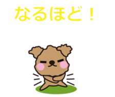 One day of Toy Poodle's cue sticker #14880145