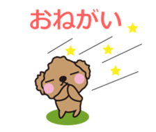 One day of Toy Poodle's cue sticker #14880147