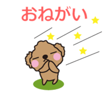 One day of Toy Poodle's cue sticker #14880147